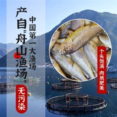 去舟山喫什麼海鮮：多元化選擇與美食品嘗之旅